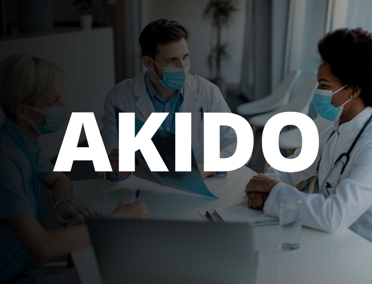 Akido Labs Software Development Case Study