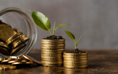 Capital Isn’t Given, It’s Earned: What Every Entrepreneur Must Know About Fundraising