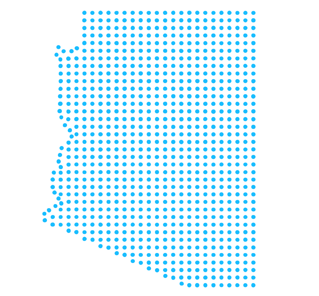 Fractional CTO Services in Tempe, AZ